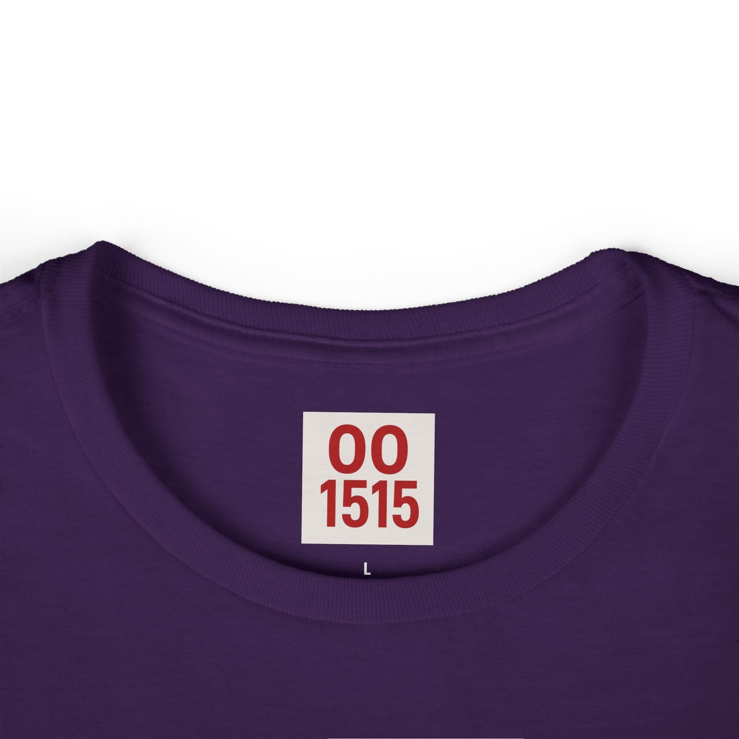 Support Day Drinking Women's Softstyle Tee